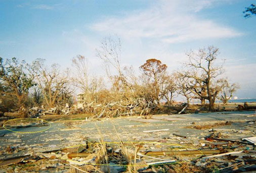 Hurricane Katrina Research Debris Research