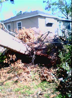 Fallen Tree near House Hurricane Katrina